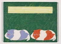 Meerschweine