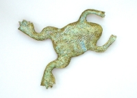 Krallenfrosch 1
