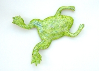 Krallenfrosch 2