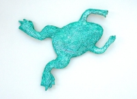 Krallenfrosch 3