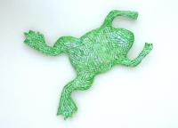 Krallenfrosch 4