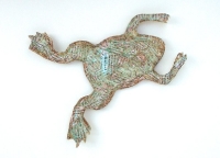 Krallenfrosch 5